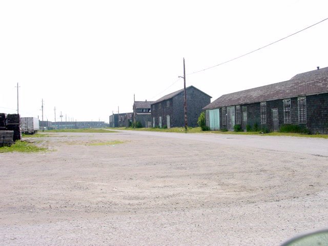 pictononbuildings2005.jpg